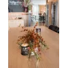EUROPALMS Ramo de eucalipto artificial, laranja, 110 cm 82505621