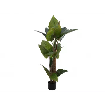 EUROPALMS Planta artificial Alocasia, 140 cm, verde, vaso preto 82508464