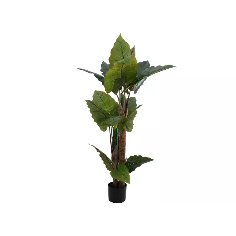 EUROPALMS Planta artificial Alocasia, 140 cm, verde, vaso preto 82508464