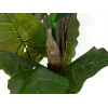 EUROPALMS Planta artificial Alocasia, 140 cm, verde, vaso preto 82508464