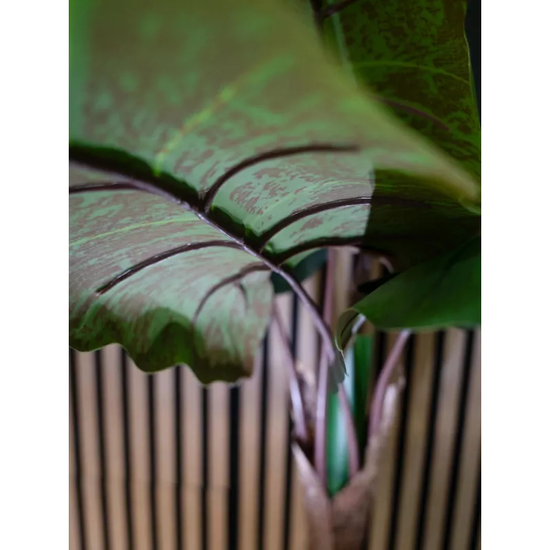 EUROPALMS Planta artificial Alocasia, 140 cm, verde, vaso preto 82508464