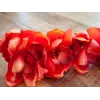EUROPALMS Ramo de Cymbidium, artificial, vermelho, 90 cm (82530315)