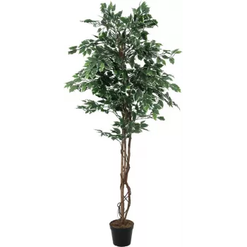 EUROPALMS Planta artificial Ficus benjamina prateado, 180 cm 82506116