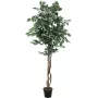 EUROPALMS Planta artificial Ficus benjamina prateado, 180 cm 82506116