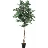 EUROPALMS Planta artificial Ficus benjamina prateado, 180 cm 82506116