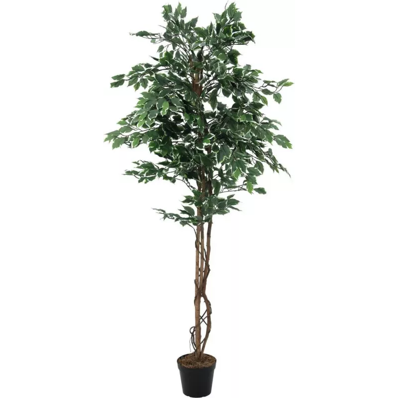EUROPALMS Planta artificial Ficus benjamina prateado, 180 cm 82506116