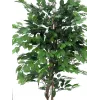 EUROPALMS Ficus Benjamina planta artificial multi-tronco, 210 cm 82506127