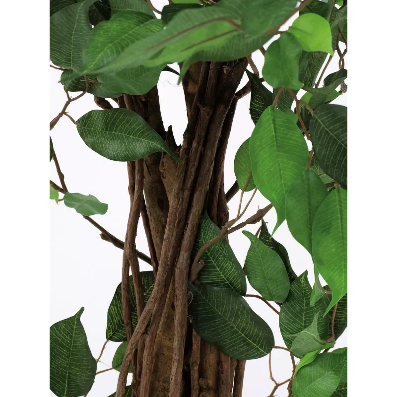EUROPALMS Ficus Benjamina planta artificial multi-tronco, 210 cm 82506127