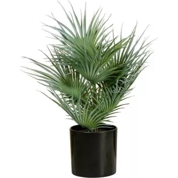 EUROPALMS Palmeira leque artificial em vaso, 55 cm 82509401