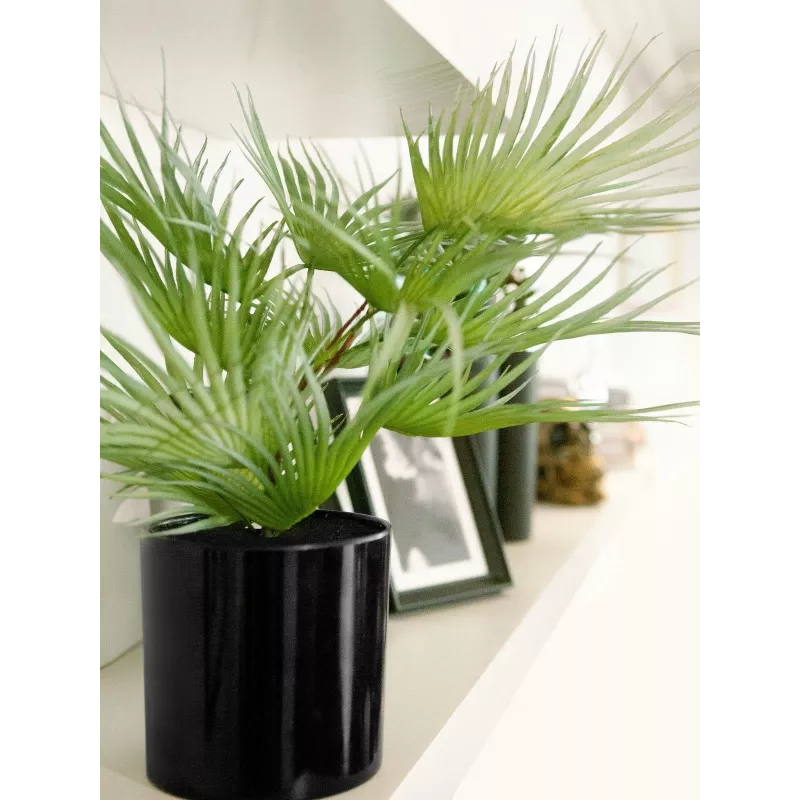 EUROPALMS Palmeira leque artificial em vaso, 55 cm 82509401