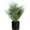 EUROPALMS Palmeira leque artificial em vaso, 55 cm 82509401