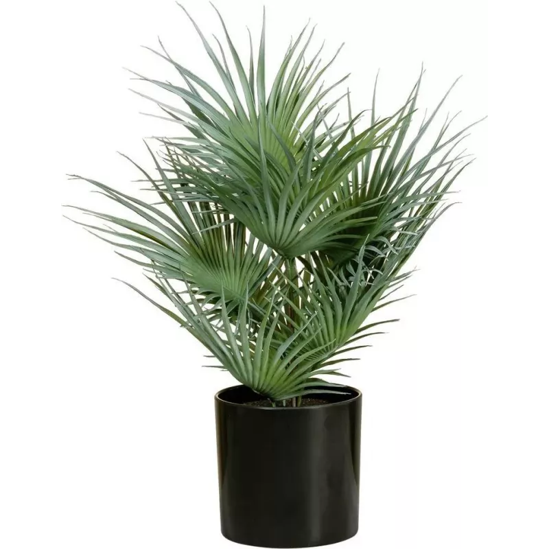 EUROPALMS Palmeira leque artificial em vaso, 55 cm 82509401