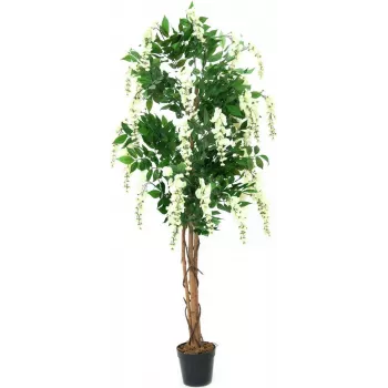 EUROPALMS Planta artificial chuva-de-ouro, branca, 150 cm (82507105)
