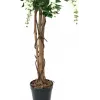 EUROPALMS Planta artificial chuva-de-ouro, branca, 150 cm (82507105)
