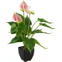 EUROPALMS antúrio artificial, branco-rosa 82540348
