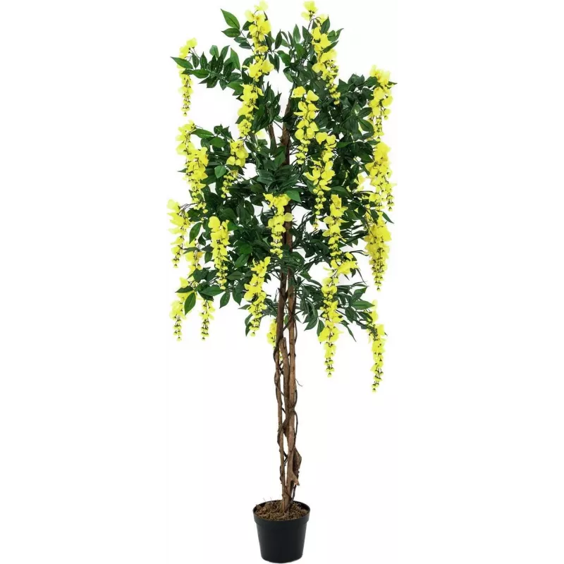 EUROPALMS Planta artificial chuva-de-ouro, amarela, 150 cm 82507115