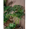 EUROPALMS Planta artificial Monstera deliciosa, 90 cm 82600220