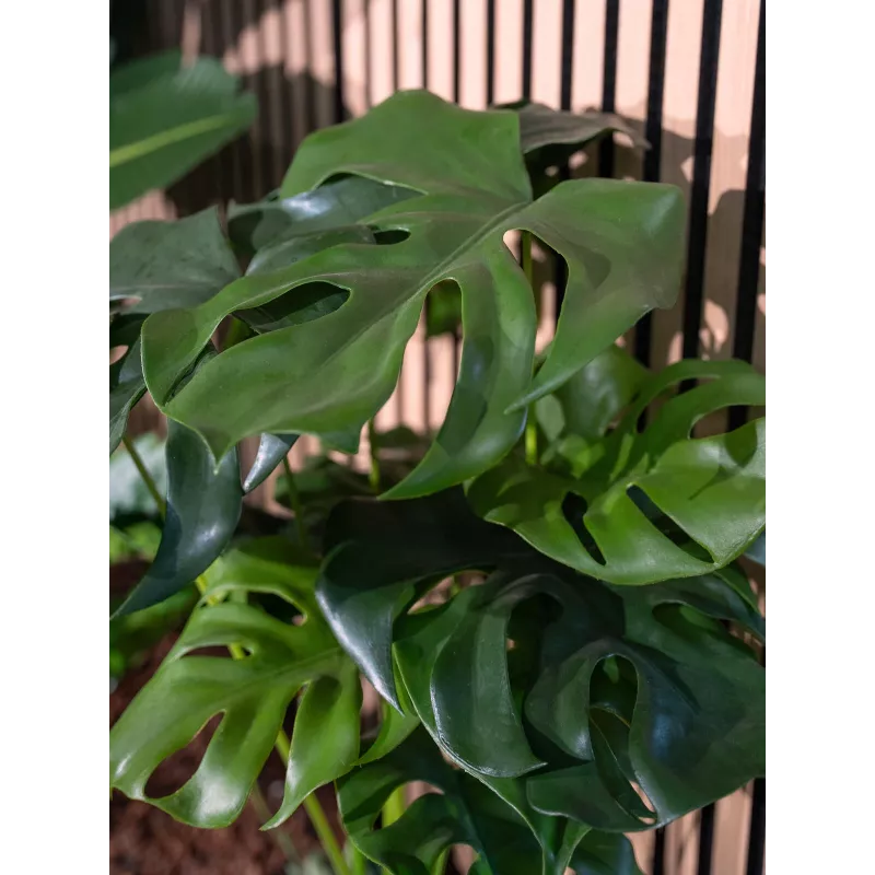 EUROPALMS Planta artificial Monstera deliciosa, 90 cm 82600220