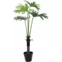 EUROPALMS Planta artificial filodendro split-leaf, 120 cm 82600222