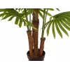 EUROPALMS Palmeira leque artificial, 165 cm 82509305