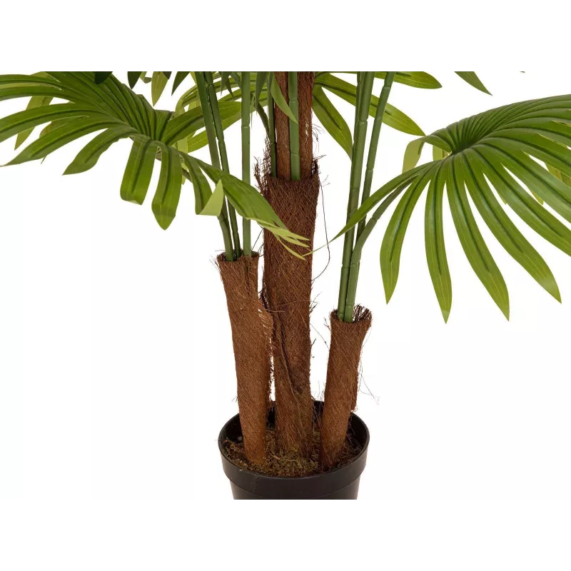 EUROPALMS Palmeira leque artificial, 165 cm 82509305