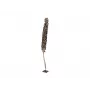 EUROPALMS Cacho Coco Palmeira de coco artificial, 120-190 cm, tronco de madeira real, 12 folhas, interior 83502349