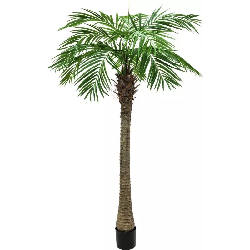 EUROPALMS Luxor Palmeira fénix artificial, 150 cm, verde 82510720