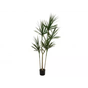 EUROPALMS Planta Artificial Dracena, Verde, 170 cm 82505799