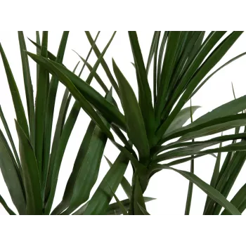 EUROPALMS Planta Artificial Dracena, Verde, 170 cm 82505799