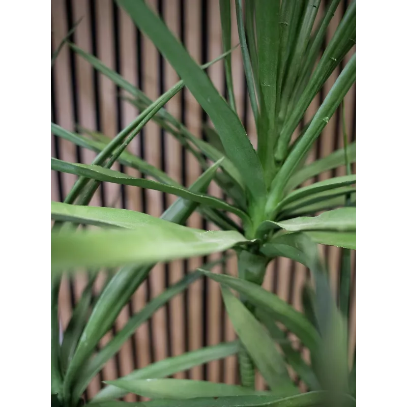 EUROPALMS Planta Artificial Dracena, Verde, 170 cm 82505799
