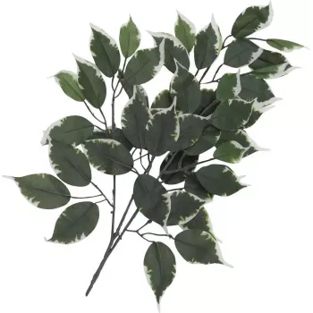 EUROPALMS ramo de ficus artificial, embalagem de 12 82506100