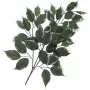 EUROPALMS ramo de ficus artificial, embalagem de 12 82506100