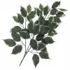 EUROPALMS ramo de ficus artificial, embalagem de 12 82506100