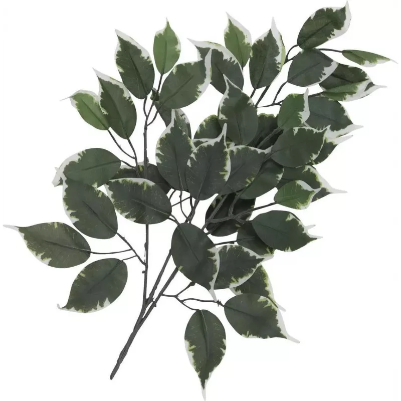EUROPALMS ramo de ficus artificial, embalagem de 12 82506100