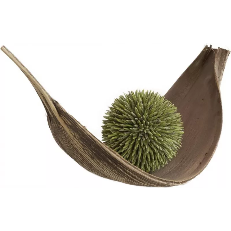 EUROPALMS bola de suculentas (EVA), planta artificial, verde, 20 cm 82531071