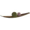 EUROPALMS bola de suculentas (EVA), planta artificial, verde, 20 cm 82531071