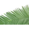 EUROPALMS folha de palmeira-real de coco artificial, 180 cm 82509847