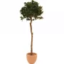 EUROPALMS Árvore bola de louro artificial, 180 cm 82506946
