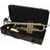 DIMAVERY TP-10 Trompete em si bemol, verniz dourado 26503100