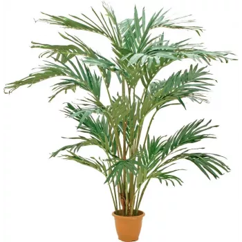 EUROPALMS Palmeira das Canárias artificial 240 cm 82511311