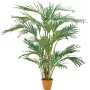 EUROPALMS Palmeira das Canárias artificial 240 cm 82511311
