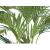 EUROPALMS Palmeira das Canárias artificial 240 cm 82511311