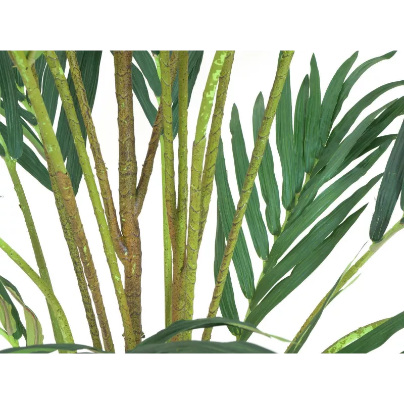 EUROPALMS Palmeira das Canárias artificial 240 cm 82511311