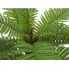 EUROPALMS Palmeira cica artificial, 70 cm 82509604