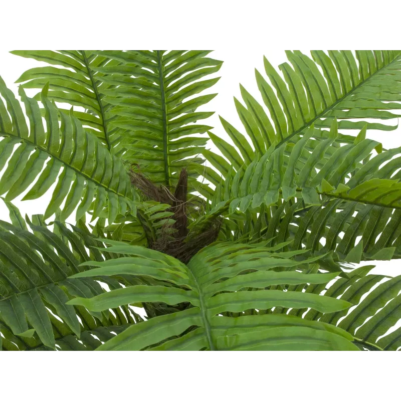 EUROPALMS Palmeira cica artificial, 70 cm 82509604