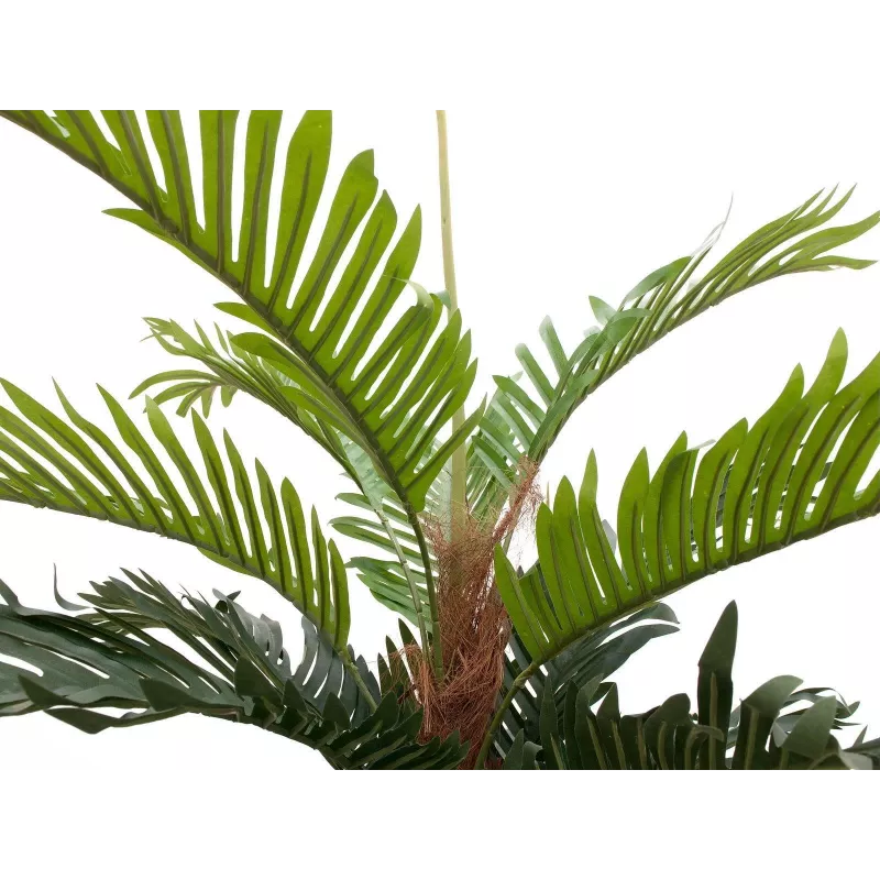 EUROPALMS palmeira kentia artificial, 150 cm 82511366