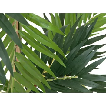 EUROPALMS Planta artificial palmeira, 150 cm 82509495