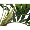 EUROPALMS Planta artificial palmeira, 150 cm 82509495