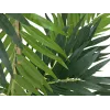 EUROPALMS Planta artificial palmeira, 150 cm 82509495