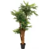 EUROPALMS palmeira areca planta artificial 170cm 82509408